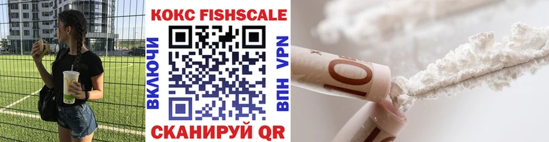 kraken зеркало  Кедровый  КОКАИН Fish Scale 
