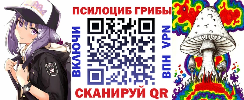наркошоп  Кедровый  Псилоцибиновые грибы MAGIC MUSHROOMS 